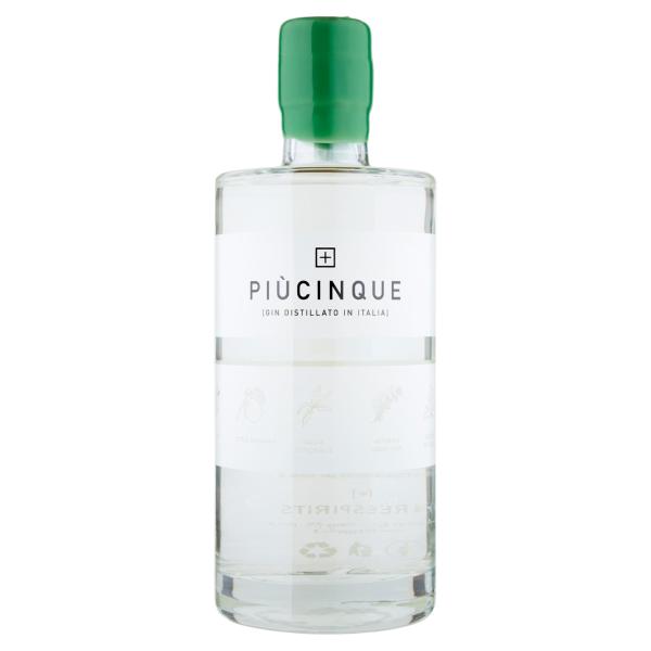 PIÙCINQUE GIN DISTILLATO IN ITALIA 70cl