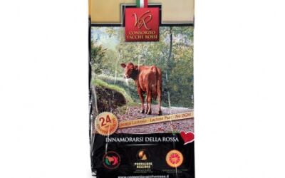 Parmigiano Reggiano-Käse Vacche Rosse