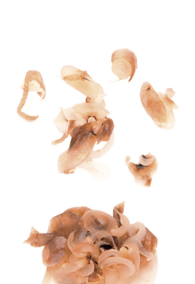 Cipolle a fette caramellate RISTORIS 800gr