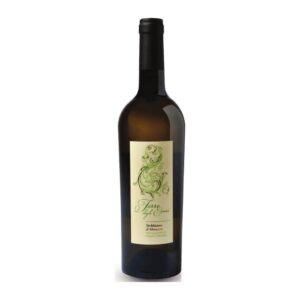 Trebbiano d'Abruzzo DOP Terre degli Eremi 75 cl x 6 bottiglie