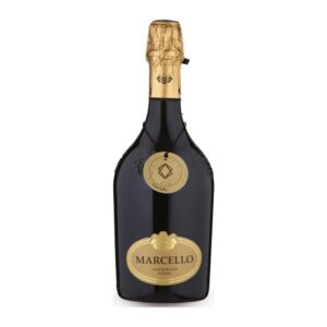 Lambrusco Emilia IGT Marcello Oro Ariola
75 cl